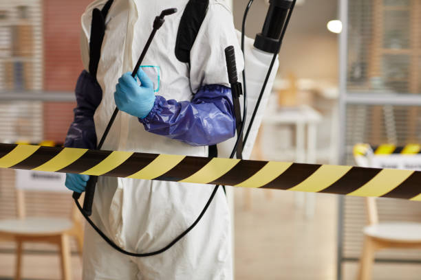 Professional Sewage Cleanup technician working in Montezuma, IA